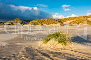 Landschaft mit Dünen auf der Insel Amrum