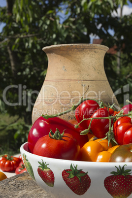 Ripe vegetables in a ceramic dish