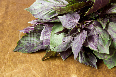 Purple and green basil