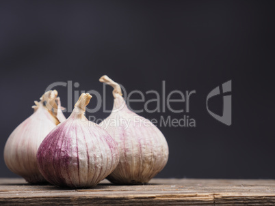 Three fresh garlic on a wooden table