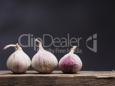 Three fresh garlic on wood