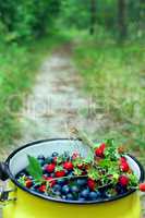 crop of bilberries and wild strawberries on the forest path
