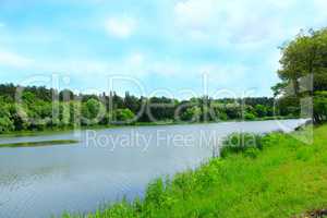 landscape with green forest and river