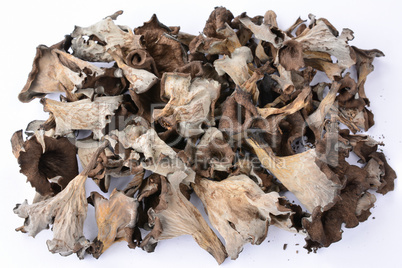 Pile of dried Horn of Plenty mushrooms over white