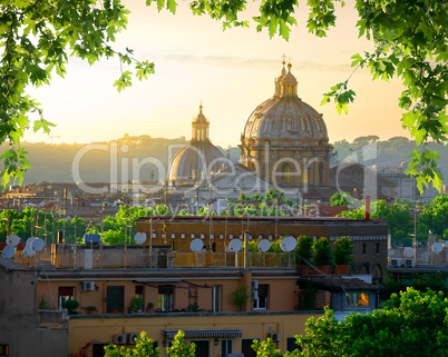 Vatican and nature