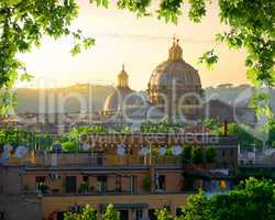 Vatican and nature