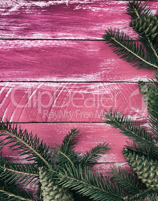 Vintage wooden pink background with branches of spruce and pine