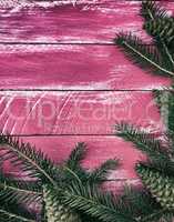 Vintage wooden pink background with branches of spruce and pine