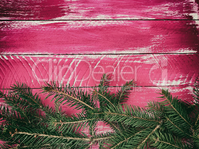 Vintage wooden pink background with branches of spruce, empty sp