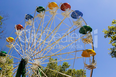 Attraction in the Park: Ferris wheel.