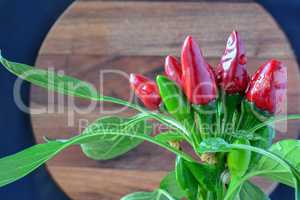 Fresh red and green chilli peppers
