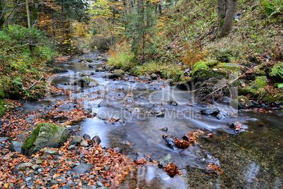 Crystal clear mountain  brook in autumn