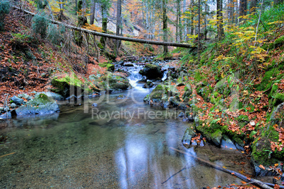 Autumn mountain creek, lakelet and fallen trunk
