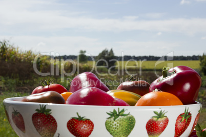 Ripe vegetables in a ceramic dish