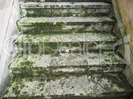 Moss on a concrete stair