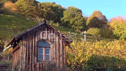 Holzhäuschen im Weinberg