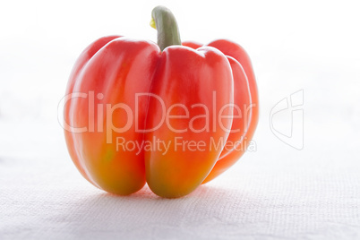 Fresh Red Pepper on white background