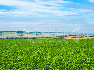 HDR English country panorama in Salisbury