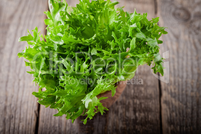 Fresh green lettuce on a wooden table