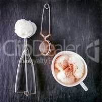 Vanilla ice cream and scoop on a stone plate