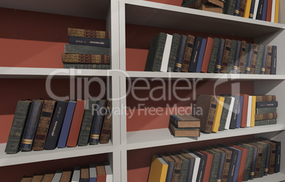 White shelves filled with books