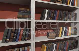 White shelves filled with books