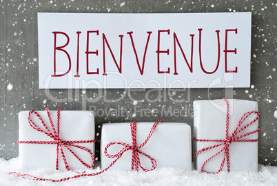 White Gift With Snowflakes, Bienvenue Means Welcome