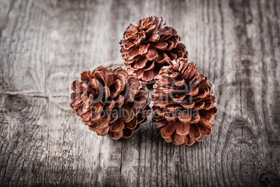 Three pine cones