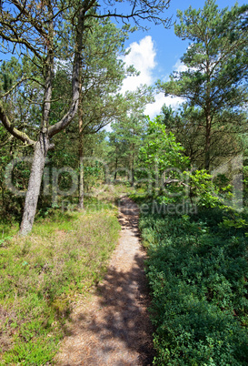 hiking trail