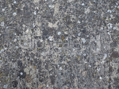 Grey concrete texture background with moss