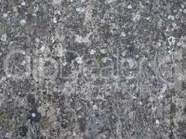 Grey concrete texture background with moss