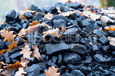 oak leaf, a bunch of coal, yellow leaf, charcoal, autumn
