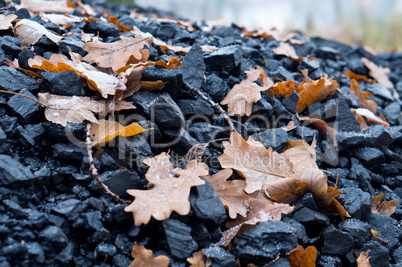 oak leaf, a bunch of coal, yellow leaf, charcoal, autumn