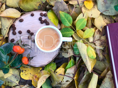 cup of espresso on a stump among the leaves in autumn park