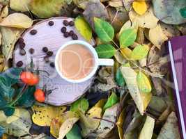 cup of espresso on a stump among the leaves in autumn park
