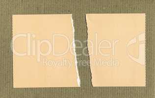 Vintage looking Yellow Torn paper pieces