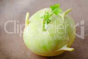 Fresh cabbage of kohlrabi