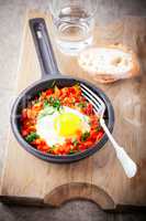 Traditional middle eastern dish of shakshuka in a pan