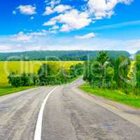 Rural paved road among fields