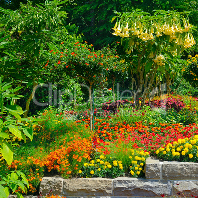 Colorful blooming flower bed at summer park