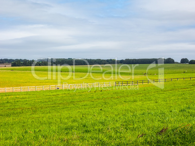 HDR English country panorama in Salisbury