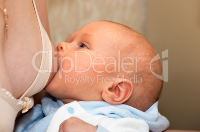 Feeding infant boy