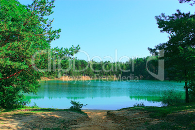 beautiful lake in the forest