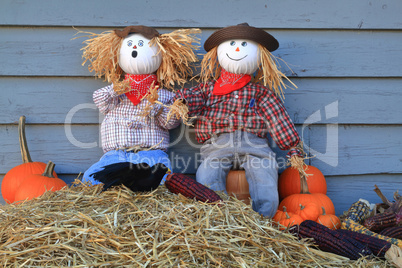 Scarecrows surprised by crow eating corn under their watch