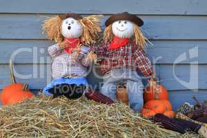 Scarecrows surprised by crow eating corn under their watch