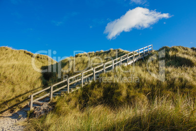 Landschaft mit Dünen auf der Insel Amrum