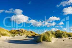 Landschaft mit Dünen auf der Insel Amrum