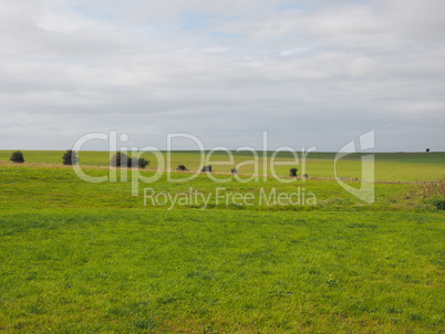 English country panorama in Salisbury