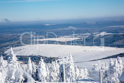 Dreamy winter forest