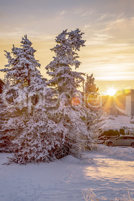 Dreamlike sunset with snowy winter forest